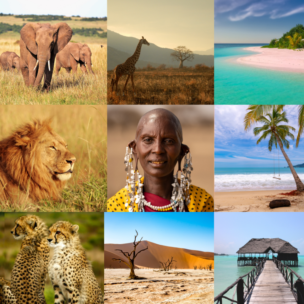  Romedia Keller,Spezialist für Reisen nach Afrika!
individualreisen, experte, wildlife, travel.romy, botswana, südafrika, namibia, sansibar, serengeti, inidscher Oezan, Safari, Afrika, viktoria falls
