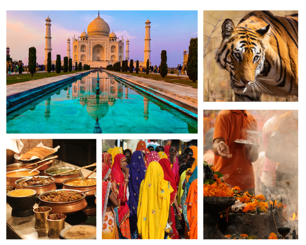 Indien, Rajasthan, Tiger, Tempel, Taj Mahal