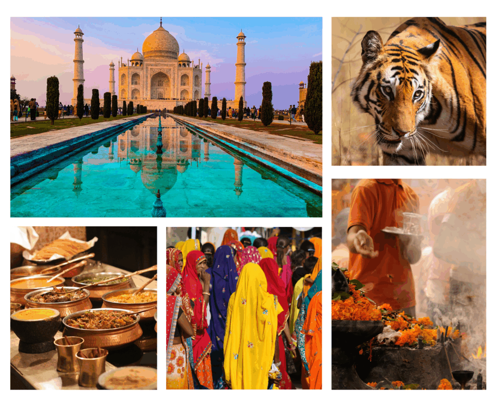 Herzlich Willkommen zu Ihrer Traumreise, Indien, Taj Mahal, Tiger, Rajasthan, Romedia Keller, individualreisen